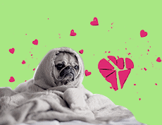 an image of a sad dog under blanket with his face only showing in a green background